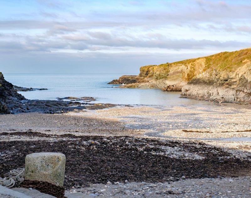 Stop Tide * Port Isaac